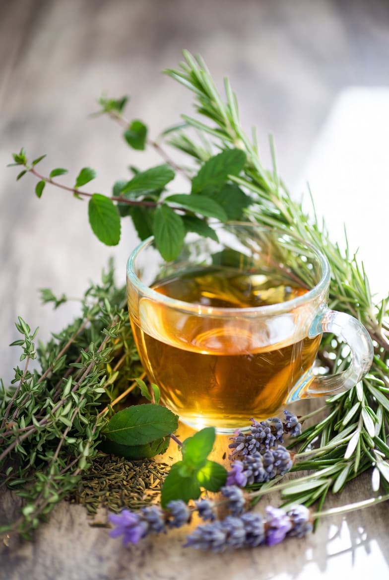 Tisane des Corbières